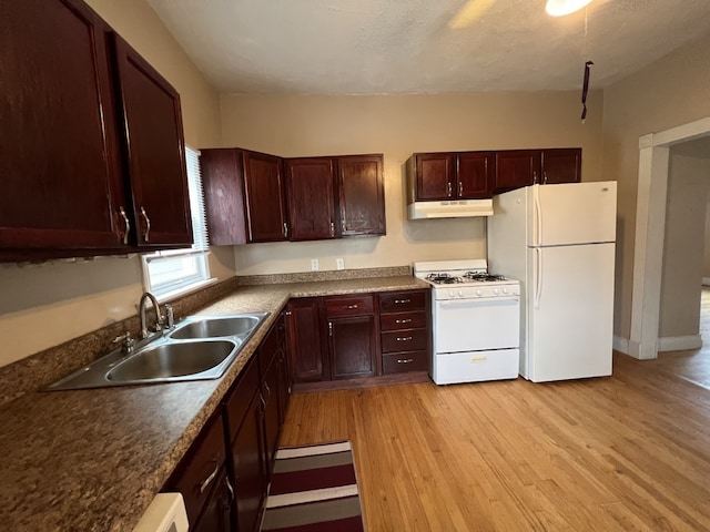 kitchen with white appliances, light wood finished floors, a sink, under cabinet range hood, and dark countertops