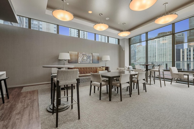 dining area featuring baseboards, a view of city, a tray ceiling, and wood finished floors