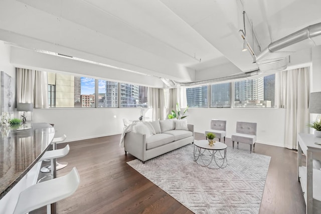 living room featuring baseboards, wood finished floors, and a view of city