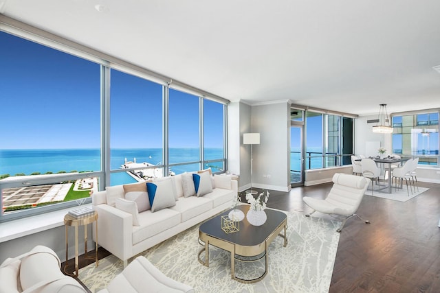 living room with wood finished floors, a water view, and baseboards