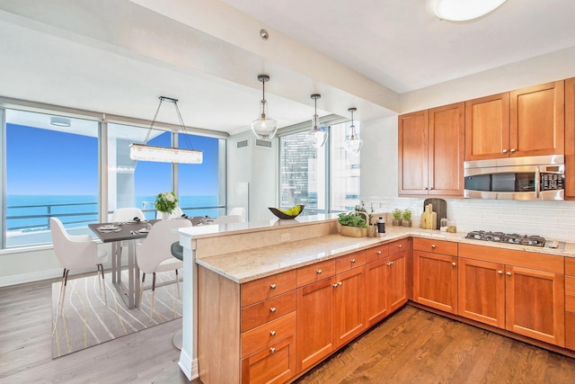 kitchen featuring decorative backsplash, a peninsula, appliances with stainless steel finishes, and wood finished floors