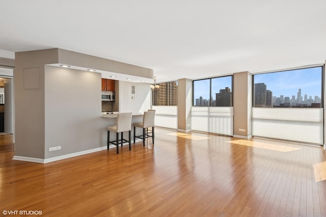 345 W Fullerton Pkwy Unit 1006, Chicago, IL 60614 - living area with baseboards, light wood-type flooring, and a view of city