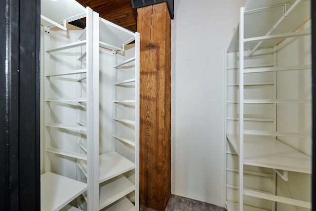 view of walk in closet