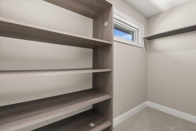 spacious closet with carpet floors
