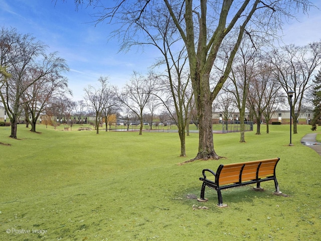 view of property's community featuring a lawn