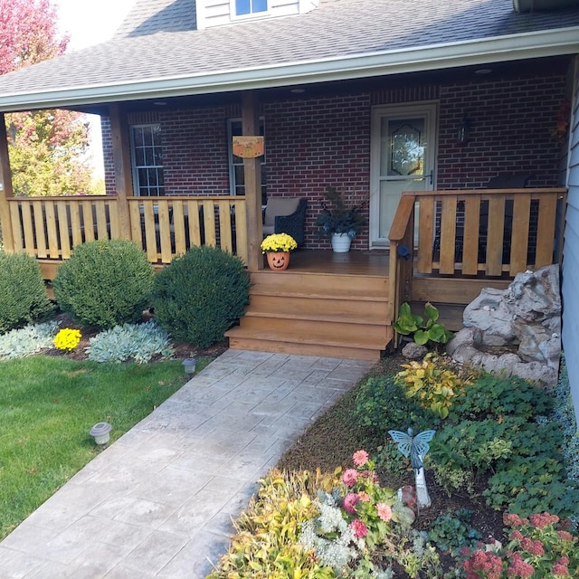 view of exterior entry with brick siding, a porch, and roof with shingles