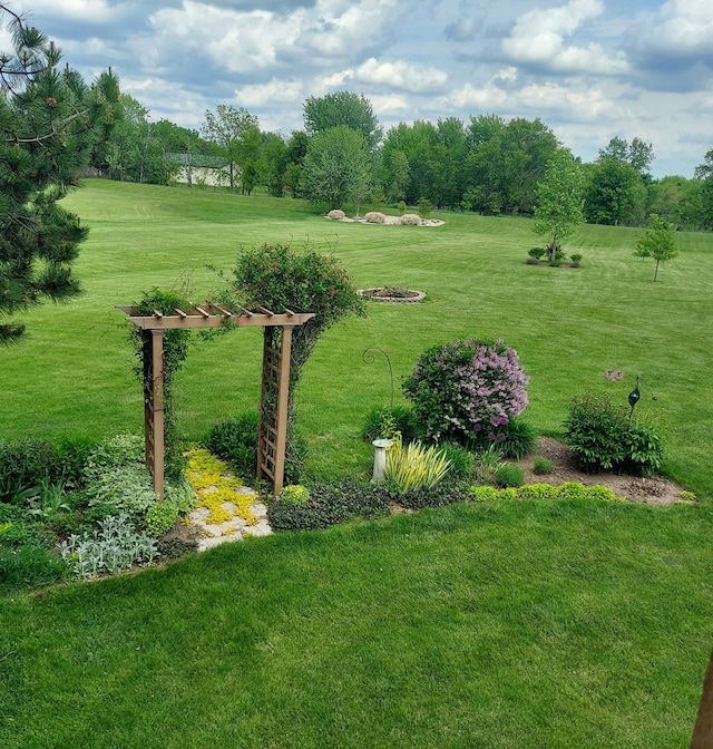 view of yard with a rural view