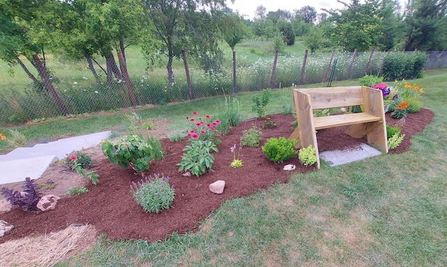 view of yard featuring a garden