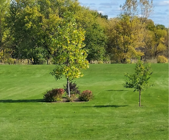 view of property's community featuring a lawn