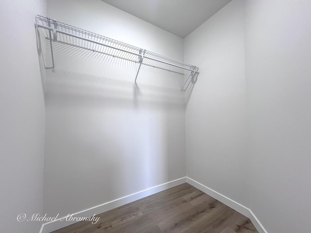 walk in closet featuring wood finished floors