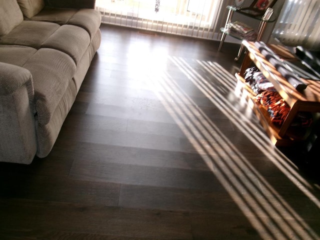 living area featuring wood finished floors