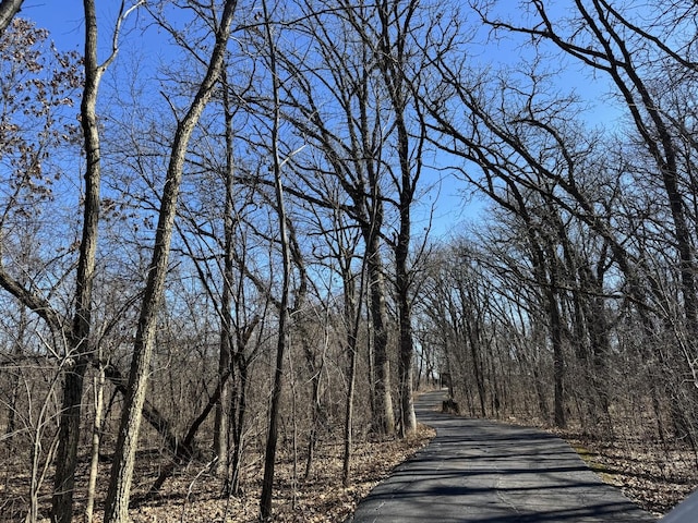 view of street with a forest view