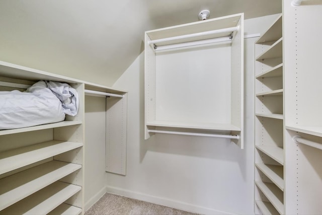 walk in closet with carpet floors