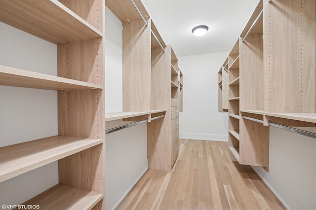 spacious closet with light wood-style flooring