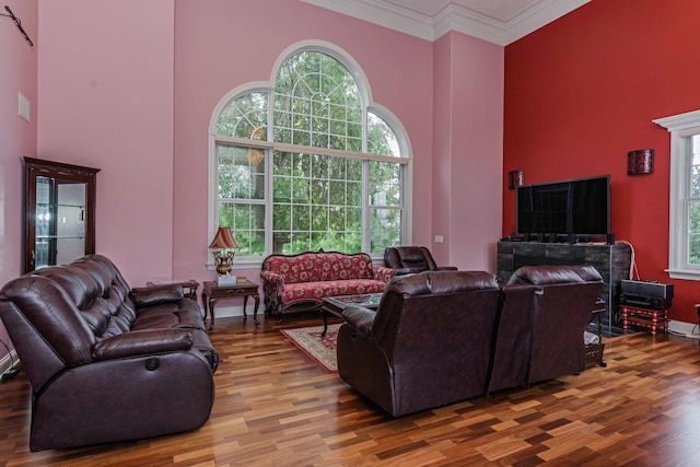 living area featuring a high ceiling, wood finished floors, and ornamental molding