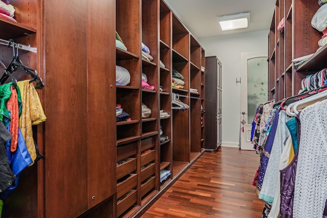 spacious closet featuring dark wood finished floors