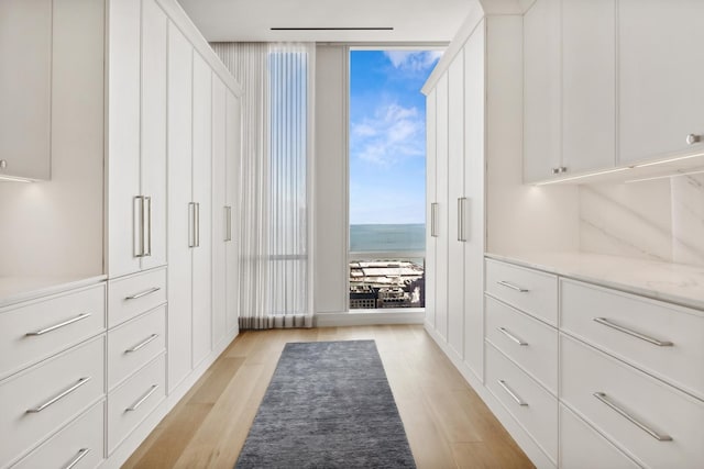 walk in closet featuring light wood-type flooring