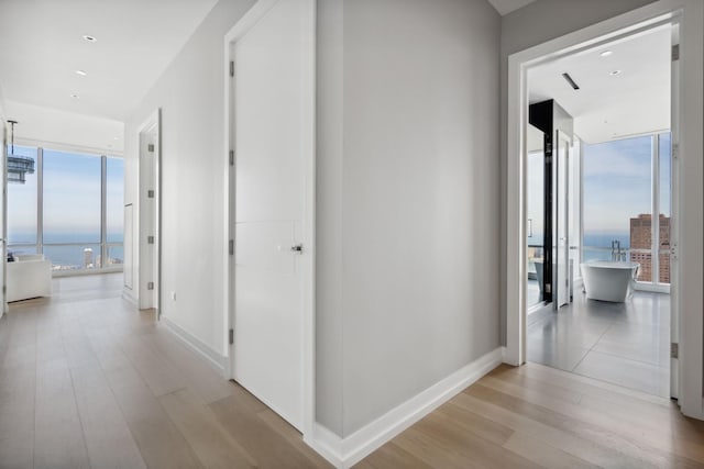 hallway featuring plenty of natural light, light wood-style flooring, a wall of windows, and baseboards