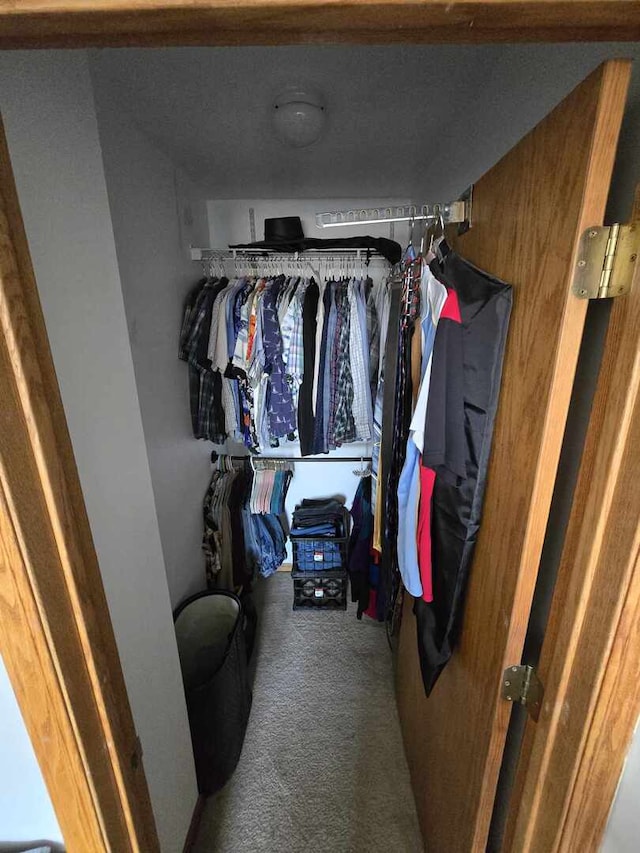 spacious closet with carpet flooring