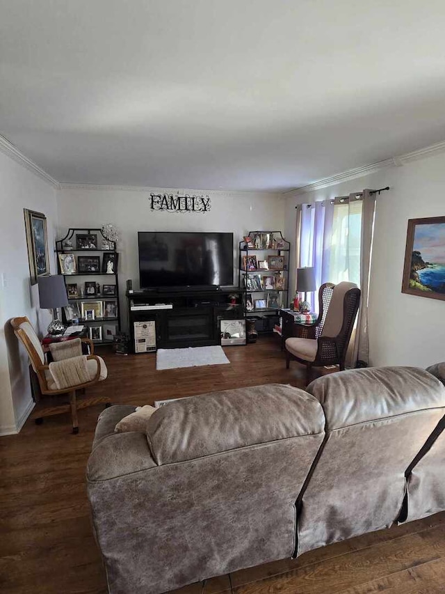 living area featuring crown molding and wood finished floors