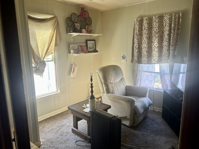 sitting room with baseboards and carpet