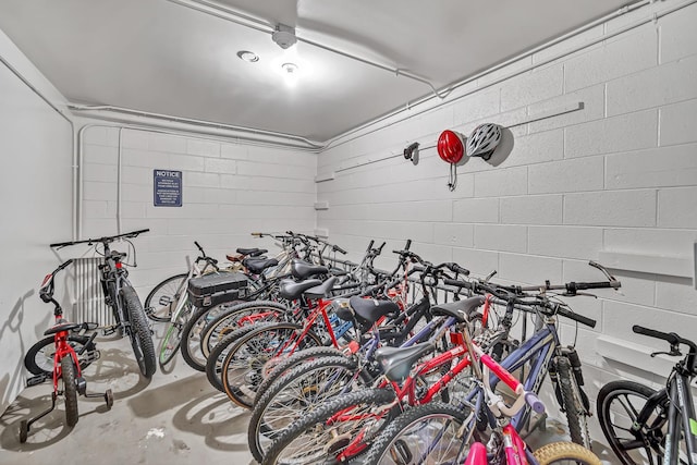 garage with bike storage and concrete block wall