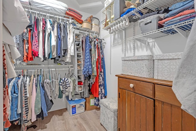 spacious closet featuring light wood-type flooring