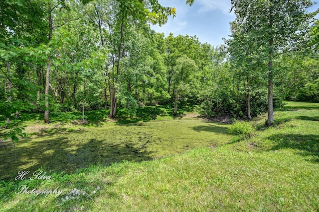 8106 Maple St, Marengo, IL 60152 - photo 35