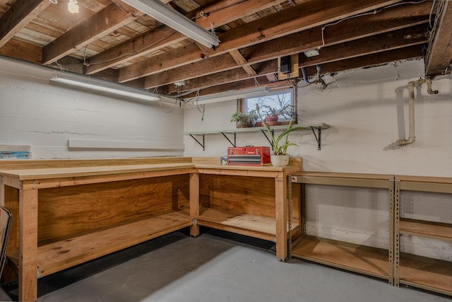 421 Dodson St, Geneva, IL 60134 - view of basement