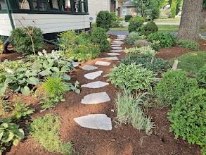 421 Dodson St, Geneva, IL 60134 - view of yard featuring a vegetable garden