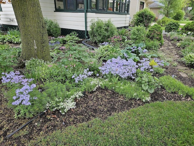 421 Dodson St, Geneva, IL 60134 - view of yard