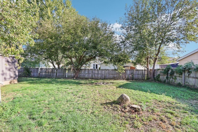 view of yard with a fenced backyard