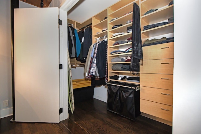 spacious closet with dark wood-style flooring