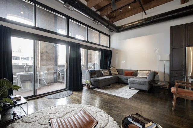 living area with wood finished floors, a towering ceiling, and track lighting