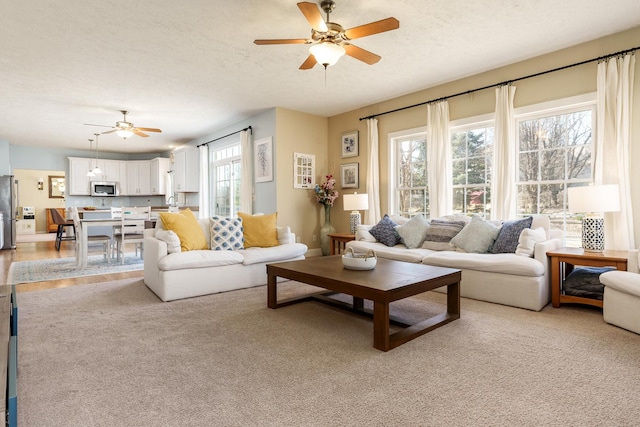 living room featuring light carpet, a ceiling fan, and a textured ceiling