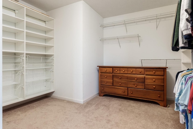 walk in closet with light carpet