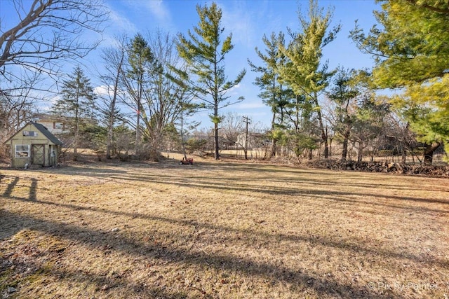 view of yard featuring an outdoor structure and a storage unit