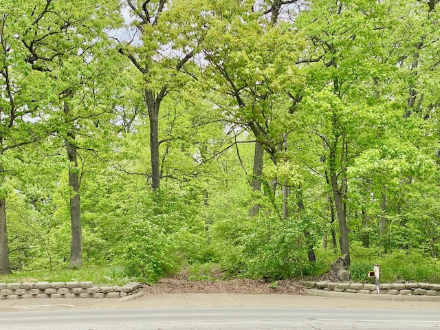 view of local wilderness featuring a forest view