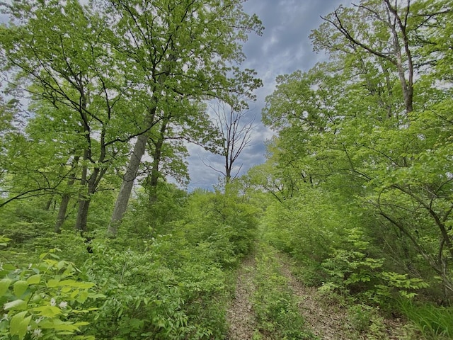 view of nature featuring a view of trees