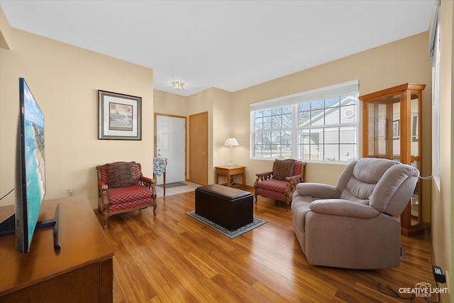 living area featuring wood finished floors