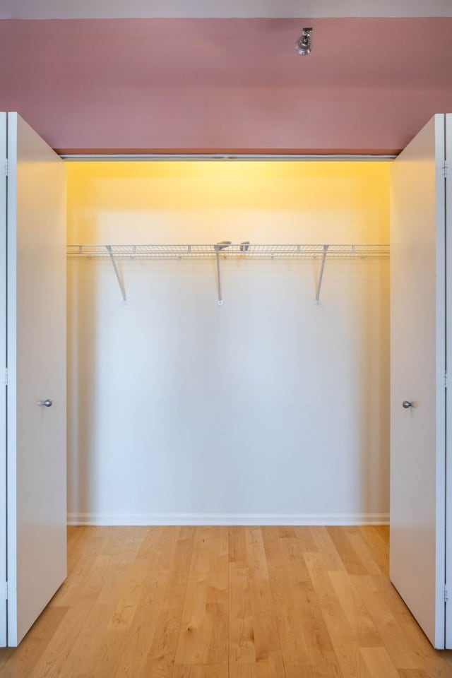 view of closet