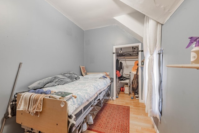 bedroom featuring a walk in closet, vaulted ceiling, wood finished floors, and a closet