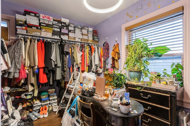 spacious closet featuring wood finished floors