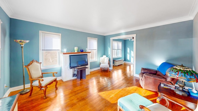 living area featuring radiator, wood finished floors, plenty of natural light, and baseboards