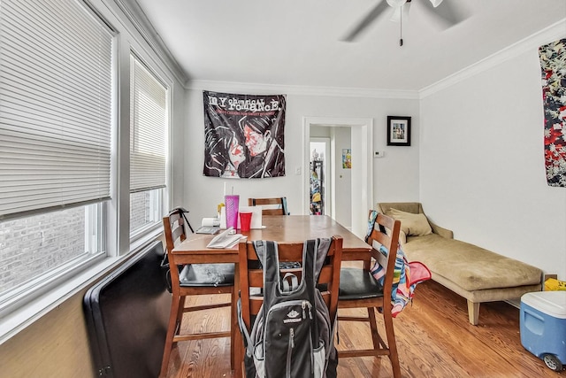 dining room with crown molding, a ceiling fan, and wood finished floors