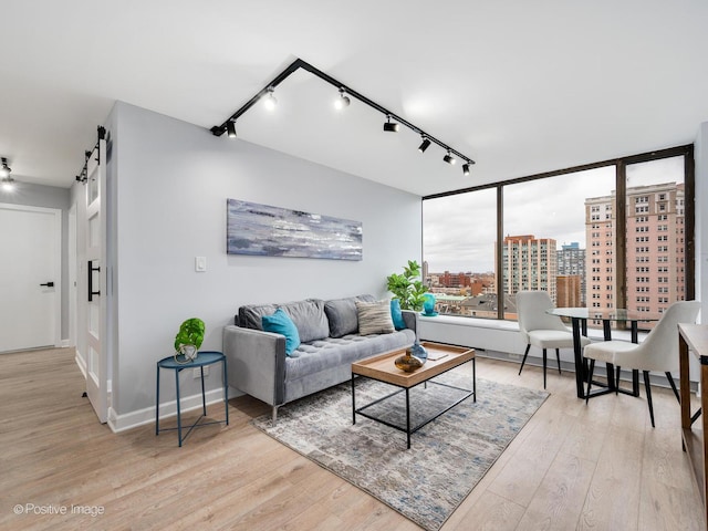 living room with baseboards, light wood-style flooring, a view of city, and a barn door