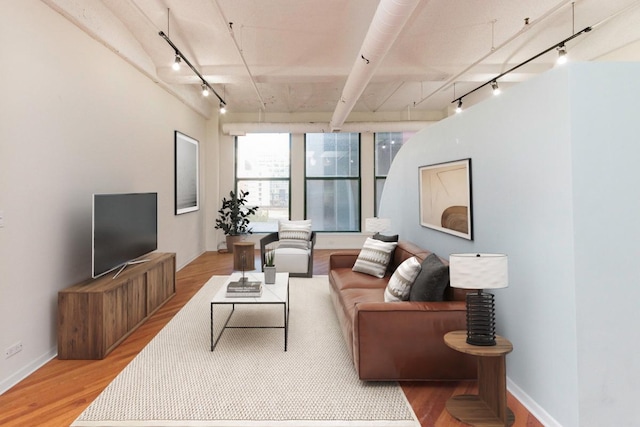 living area featuring rail lighting, light wood-style flooring, and baseboards