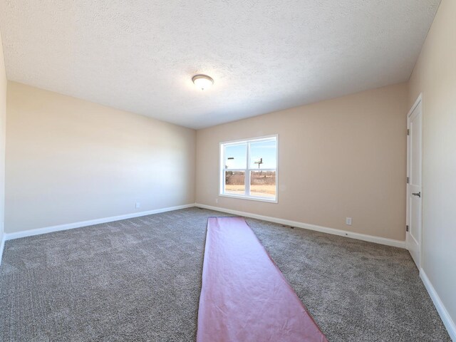 605 Sundown Trl, Braceville, IL 60407 - photo 15