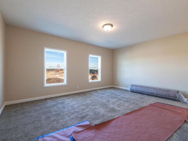 605 Sundown Trl, Braceville, IL 60407 - photo 10