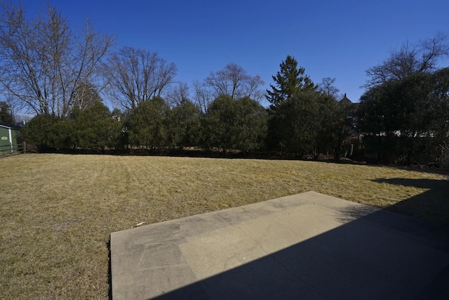 view of yard featuring a patio